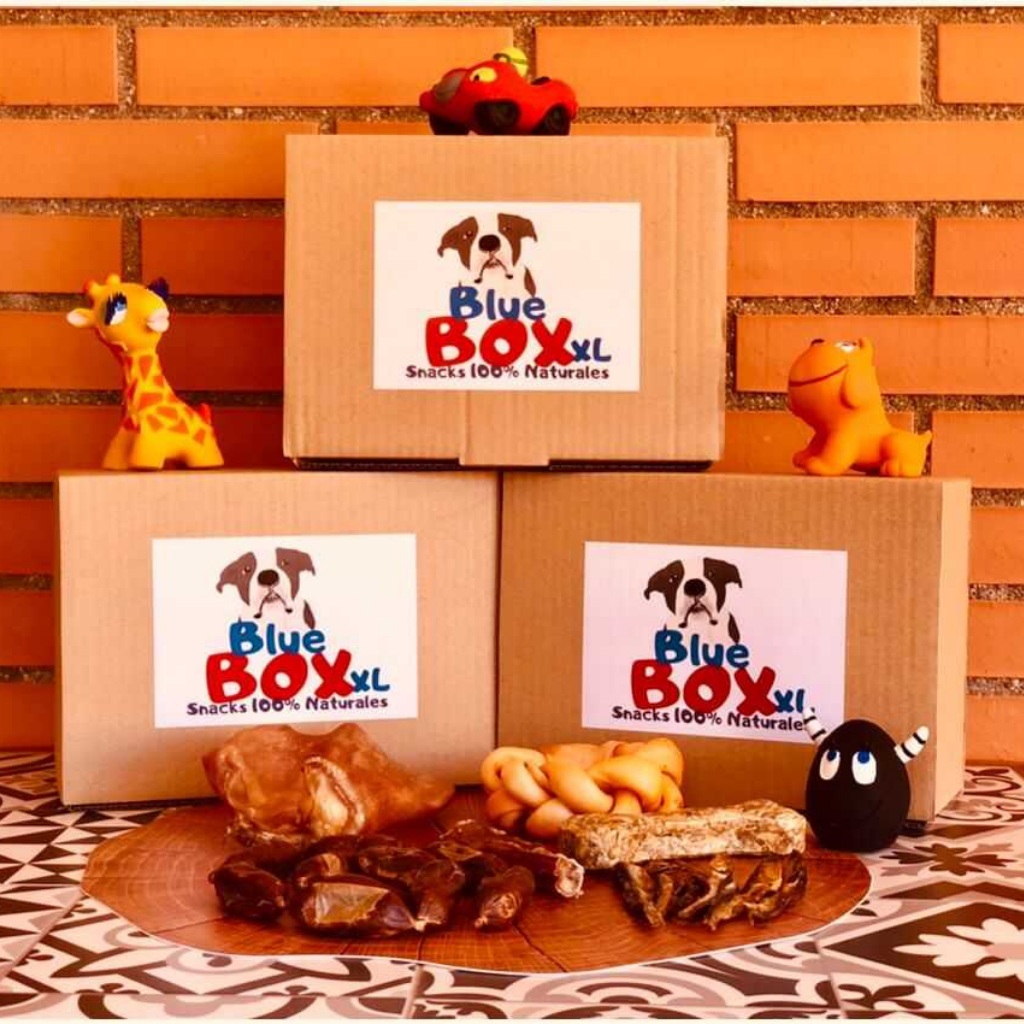 Blue BOX XL Snacks para grandes mordedores - Imagen 2