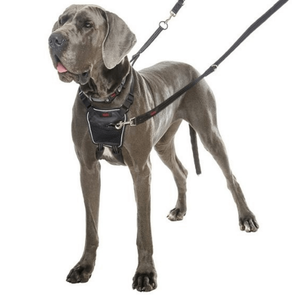 Arnés Halti antitirones No-pull para perros - Imagen 5