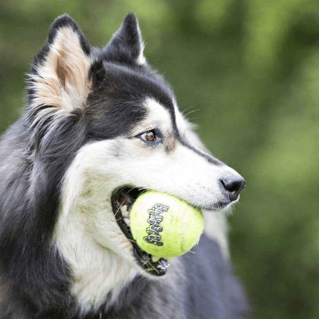 Pelota KONG Air Squeaker Tennis - Imagen 2
