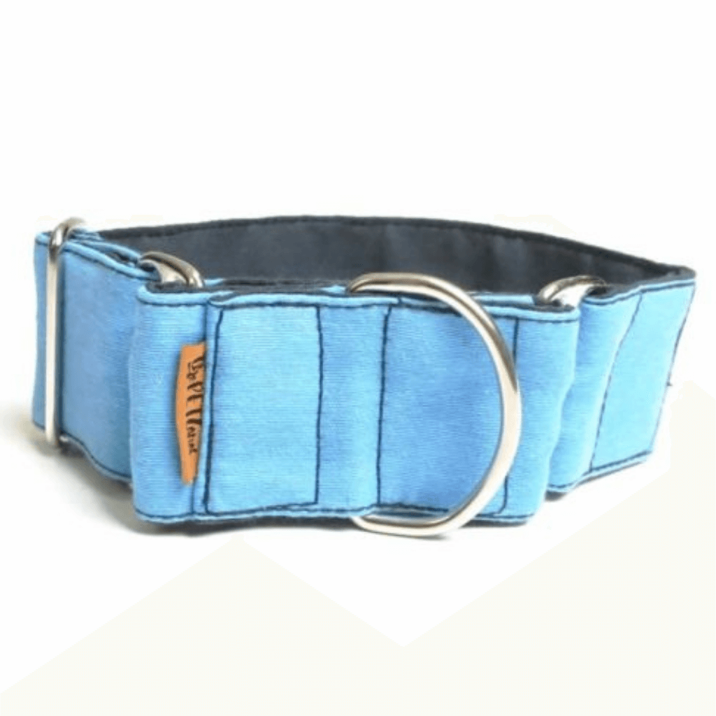 Collar Martingale Azul para perros ThePetLover