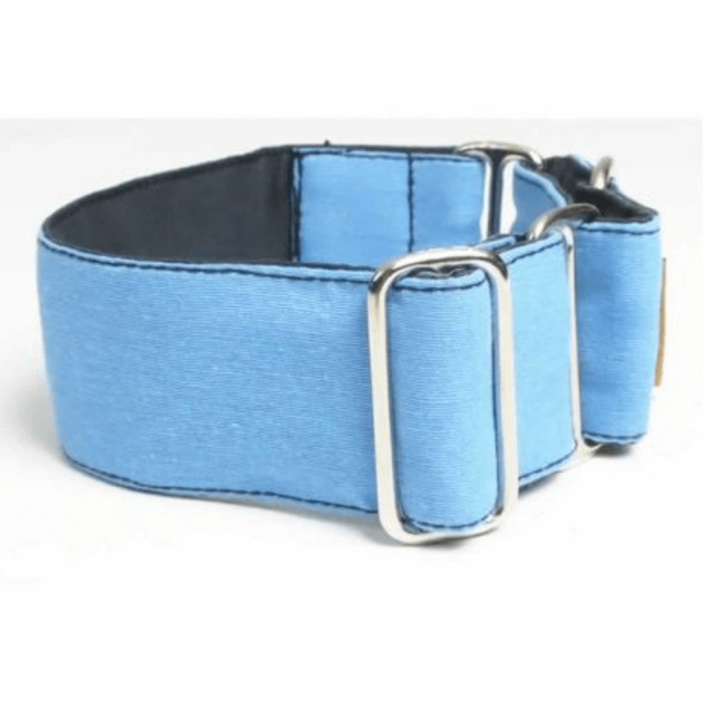 Collar Martingale Azul para perros ThePetLover - Imagen 2