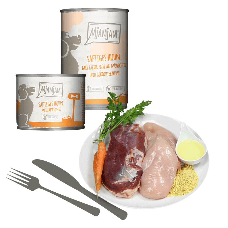 MjAMjAM Pollo jugoso con pato tierno, zanahorias y mijo cocido Lata 800gr para Perros