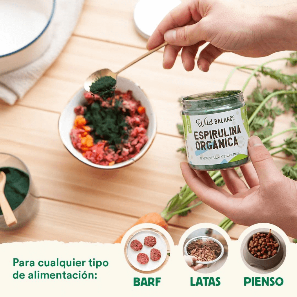 Espirulina Orgánica (antiinflamatorio y antioxidante) Wild Balance - Imagen 3