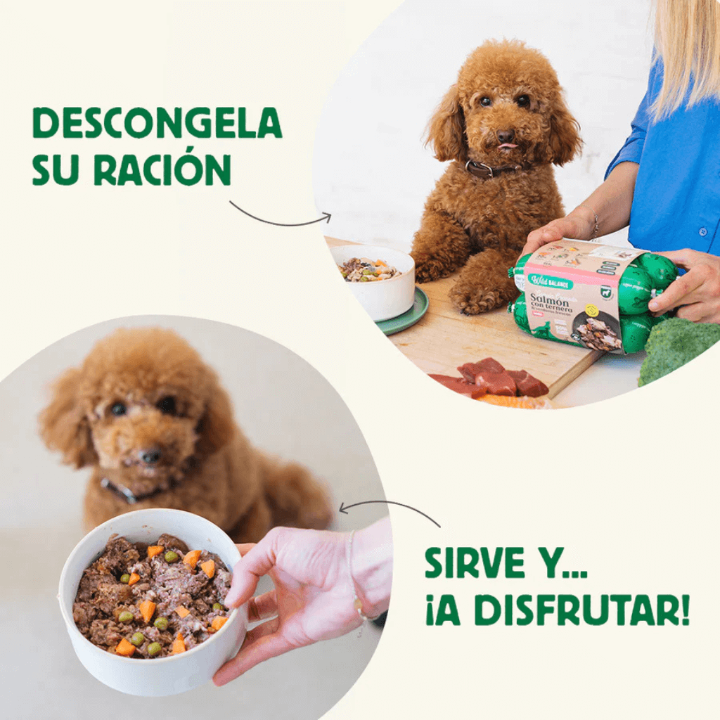 Comida Cocinada de Salmón y Ternera para Wild Balance perros - Imagen 4