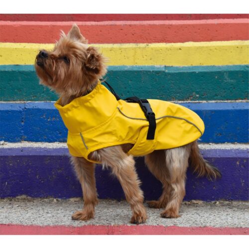 Impermeable London Amarillo - Imagen 2
