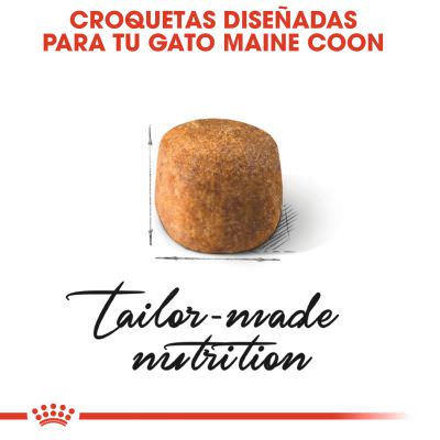 Royal Canin Feline Maine Coon 2kg, 4kg y 10kg - Imagen 2