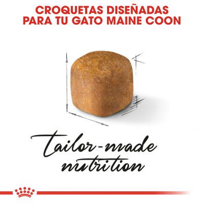Royal Canin Maine Coon Kitten 4kg | 10kg - Imagen 2